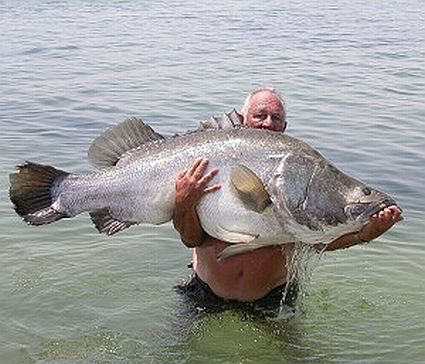 2006 3 7 egypt big fish 2 45