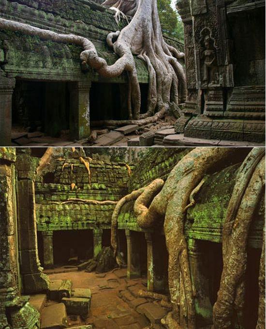 amazing tree sculptures 21 amazing tree sculptures 21
