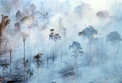amazon engulfed in smoke