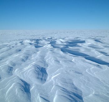 analysis of antarctic snow 9