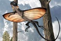 ancient lizard glided on stretched ribs 9