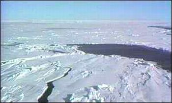arctic sea ice gets thinner