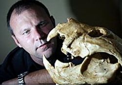 australias prehistoric marsupial lion skull 9