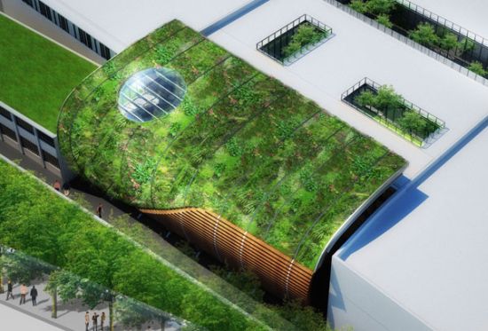 calleabut greenroof 1