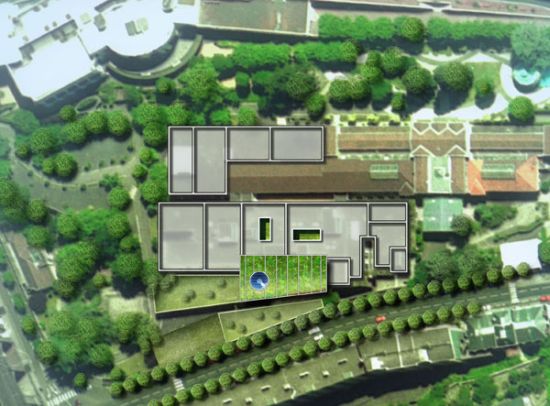 calleabut greenroof 3