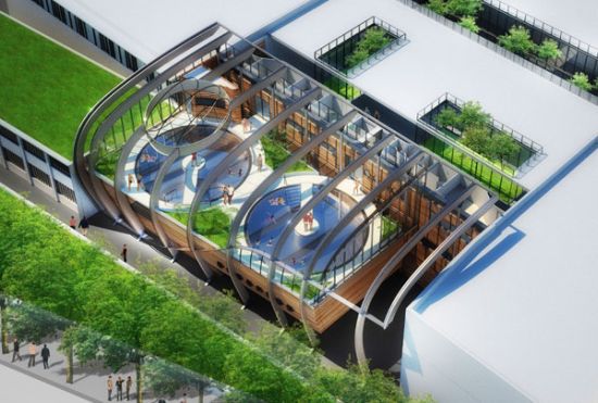 calleabut greenroof 7