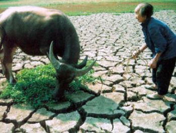 china to face severe drought 9