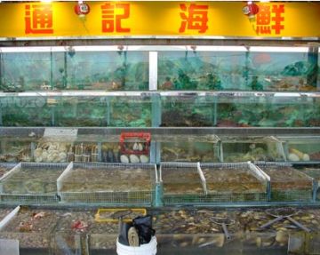 chinas live reef fish trading 9