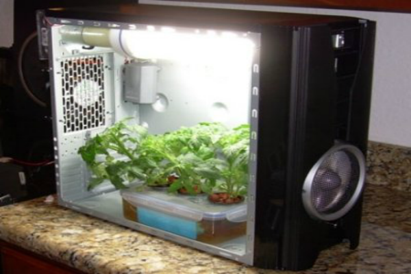 Creative use of old desktop computers.