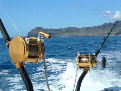 deep sea fishing 3
