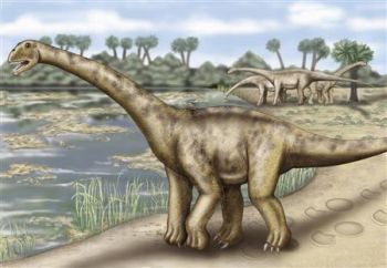 dinosaur unearthed in spain2 9