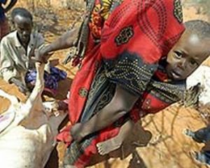 drought stricken kenya uganda 9