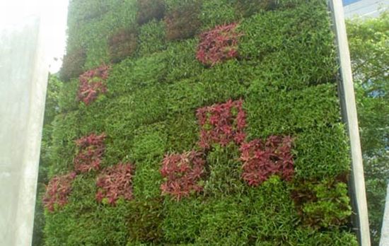 elt living wall 1