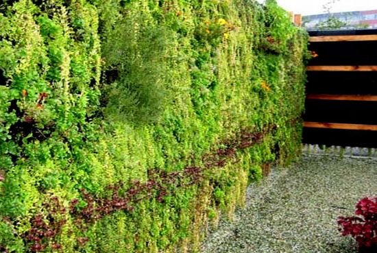 elt living wall 2