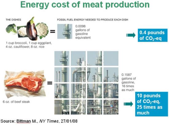 energy cost of meat product
