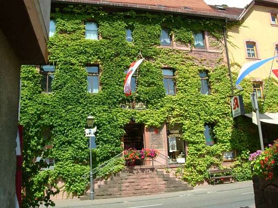 green living walls 4