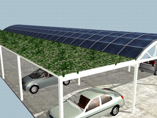 green solar canopy