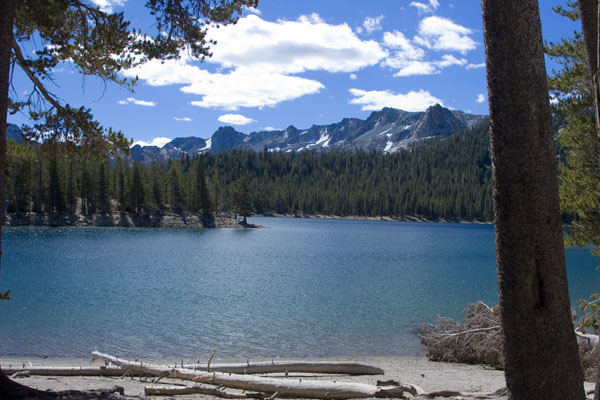 http://www.greendiary.com/wp-content/uploads/2012/07/horseshoe_lake_california_usa_on6yn.jpg