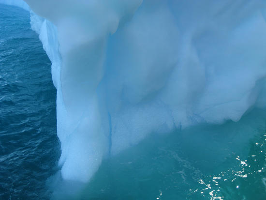 iceberg 44