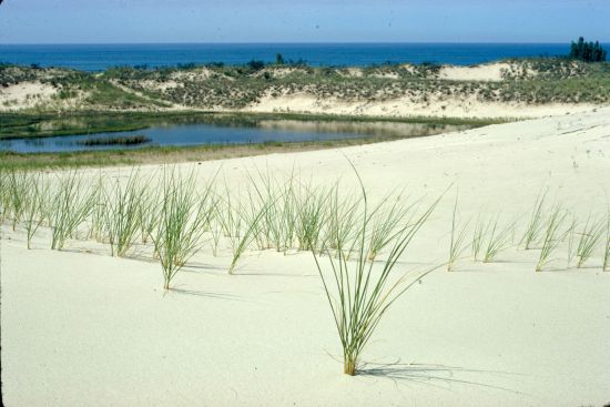 indiana dunes national lakeshore