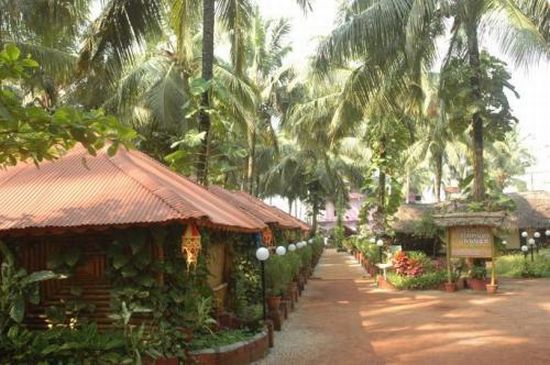 kerala bamboo house kerala bamboo house