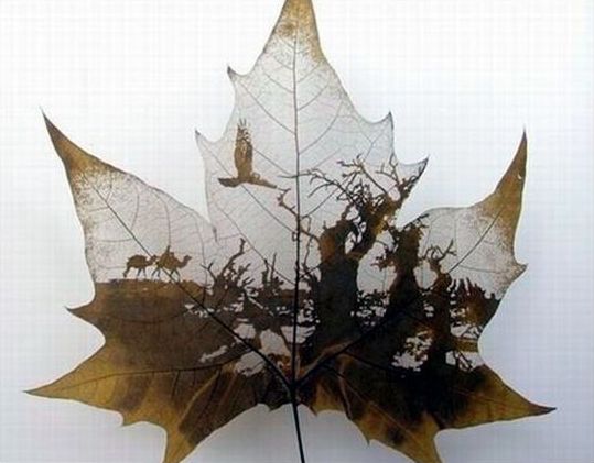 leaf carving 3