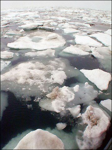 melting arctic ice