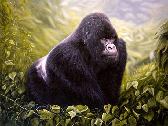 mountain gorilla painting