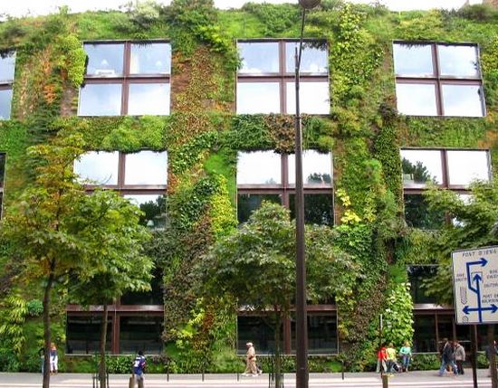 patrick blancs vertical garden system 1