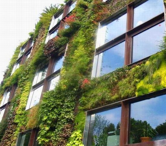 patrick blancs vertical garden system 2