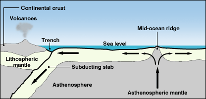 plate tectonics 246