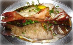 reef fish delicacies lure tourists 9