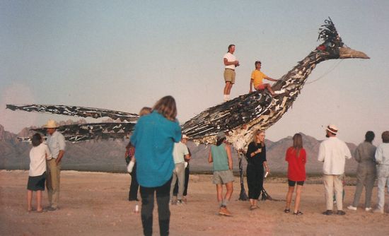 roadrunner roadrunner