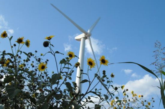 roscoe wind farm