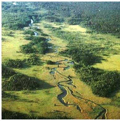 scenic rospuda river valley