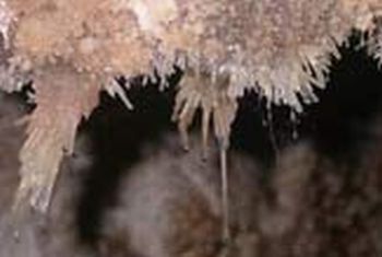 snot like microbes help carve caves 9