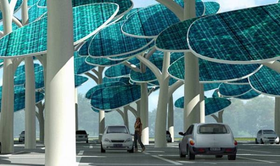 solar forest