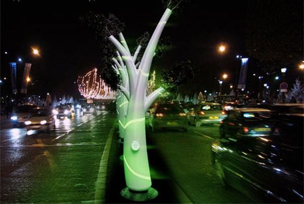The Light Tree The Light Tree