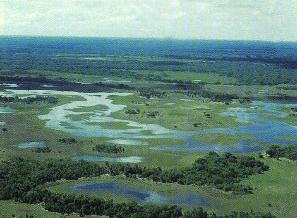 the pantanal wetlands