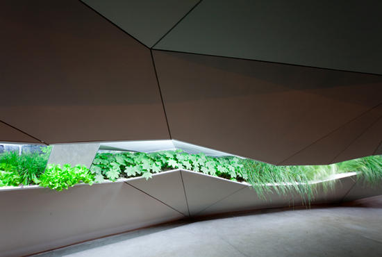 plant installation