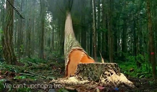 unchopping a tree by maya lin