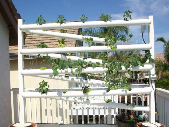 Vertical Earth Gardens relies on hydroponics to add green to your ...