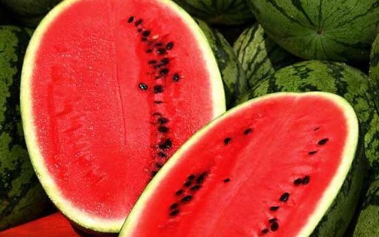 watermelon as source of biofuel 5