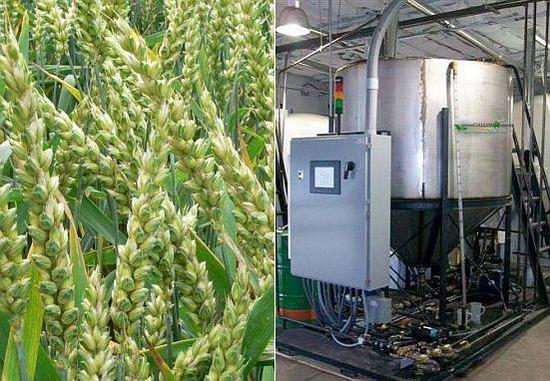 wheat based biofuel refinery