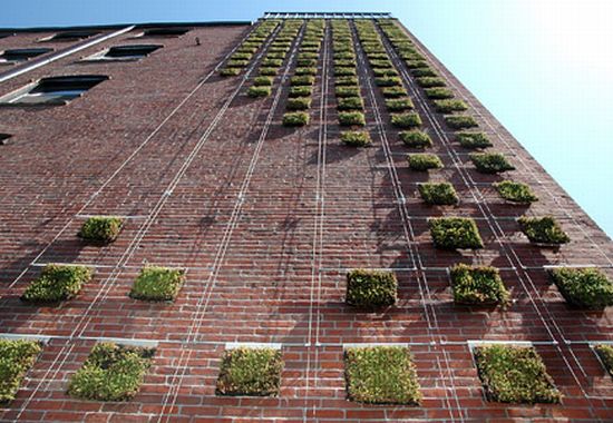 young architects boston wall 1