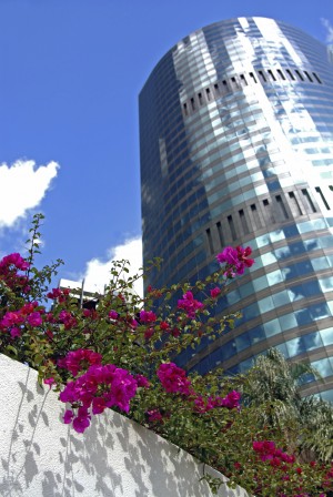 Greening the City