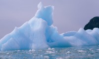 WEV_093