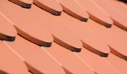 147041919