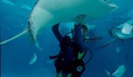 Scuba_Diving1
