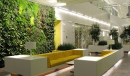 green-office